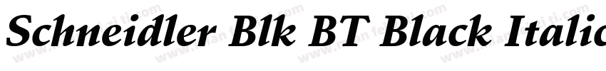Schneidler Blk BT Black Italic字体转换